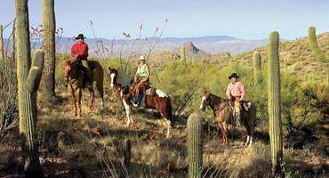 horseback riding